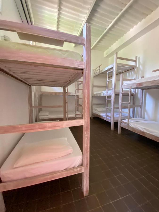 Color Hostel パロミノ エクステリア 写真