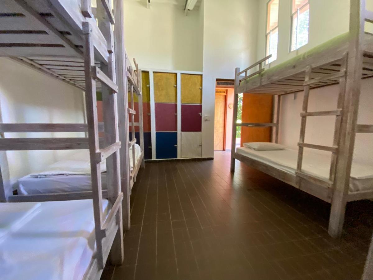 Color Hostel パロミノ エクステリア 写真
